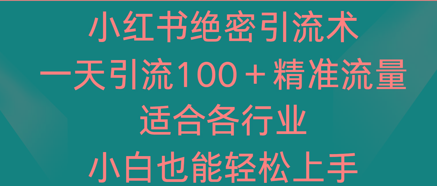 小红书绝密引流术，一天引流100＋精准流量，适合各个行业，小白也能轻松上手-搞钱日记