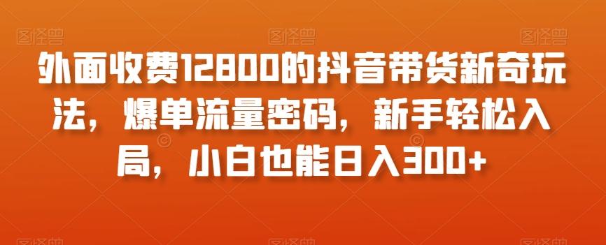 外面收费12800的抖音带货新奇玩法，爆单流量密码，新手轻松入局，小白也能日入300+【揭秘】-搞钱日记