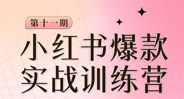 小红书博主爆款训练营第11期，手把手教你从0-1做小红书，从定位到起号到变现-搞钱日记