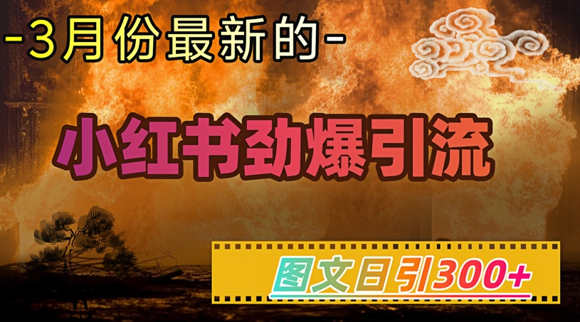 小红书超劲爆引流手段，图文日引300+轻松变现1W-搞钱日记