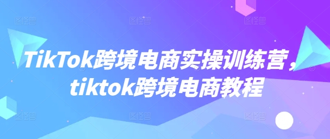 TikTok跨境电商实操训练营，tiktok跨境电商教程-搞钱日记