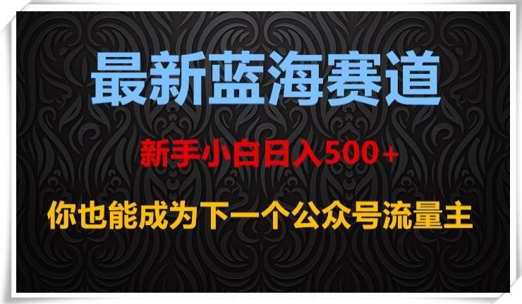 最新蓝海赛道，新手小白日入500+，你也能成为下一个公众号流量主【揭秘】-搞钱日记