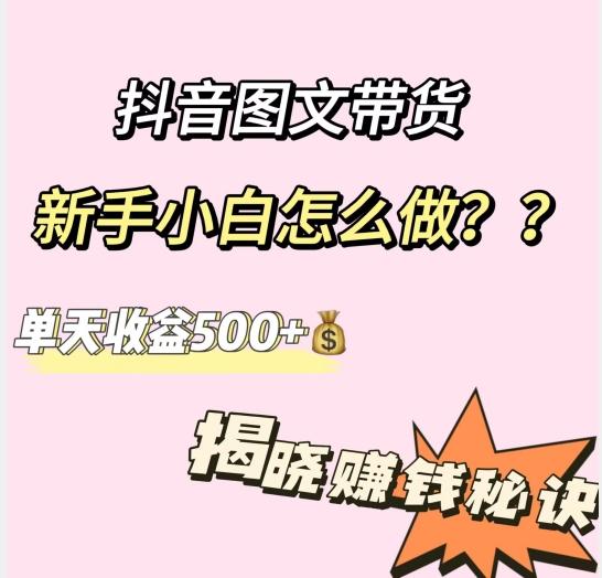 抖音图文带货，新手小白怎么做？单天收益500+【揭秘赚钱秘诀】-搞钱日记