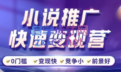 洲洲老师·小说推广快速变现营-搞钱日记