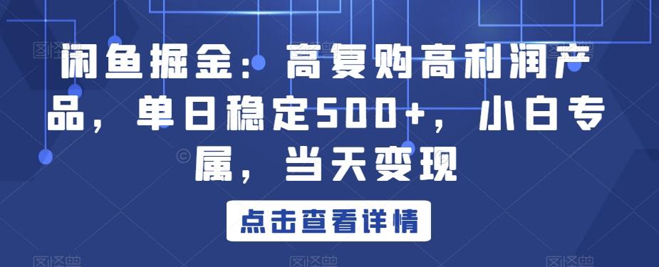 闲鱼掘金：高复购高利润产品，单日稳定500+，小白专属，当天变现-搞钱日记
