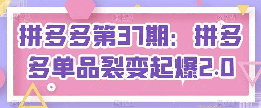 拼多多第37期：拼多多单品裂变起爆2.0-搞钱日记