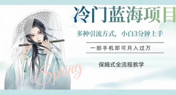 冷门蓝海项目，操作简单，小白3分钟上手，多种引流方式，保姆式全流程教学【揭秘】-搞钱日记
