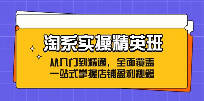 淘系实操精英班：从入门到精通，全面覆盖，一站式掌握店铺盈利秘籍-搞钱日记
