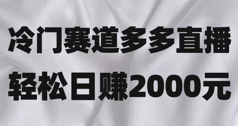 冷门赛道拼多多直播，简单念稿子，日收益2000＋【揭秘】-搞钱日记