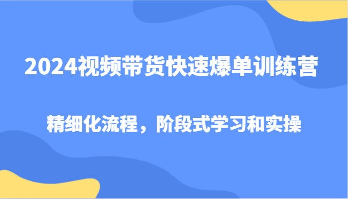 2024视频带货快速爆单训练营，精细化流程，阶段式学习和实操-搞钱日记