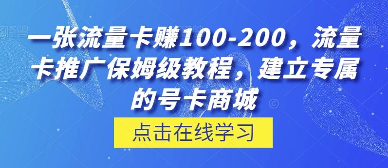 一张流量卡赚100-200，流量卡推广保姆级教程，建立专属的号卡商城-搞钱日记
