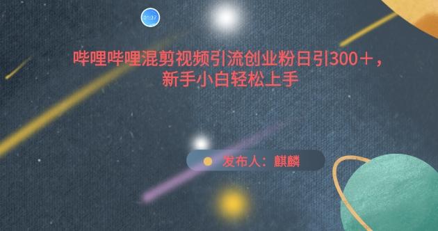 哔哩哔哩混剪视频引流创业粉日引300+，新手小白轻松上手【揭秘】-搞钱日记