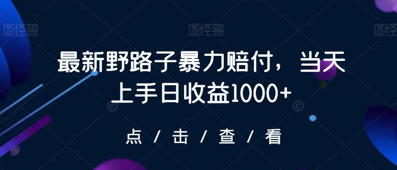 最新野路子暴力赔付，当天上手日收益1000+【仅揭秘】-搞钱日记