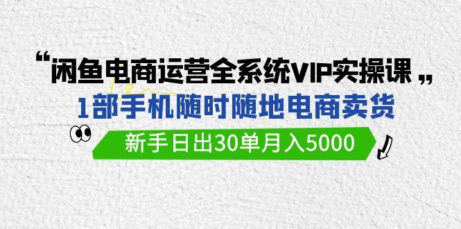 (9547期)闲鱼电商运营全系统VIP实战课，1部手机随时随地卖货，新手日出30单月入5000-搞钱日记