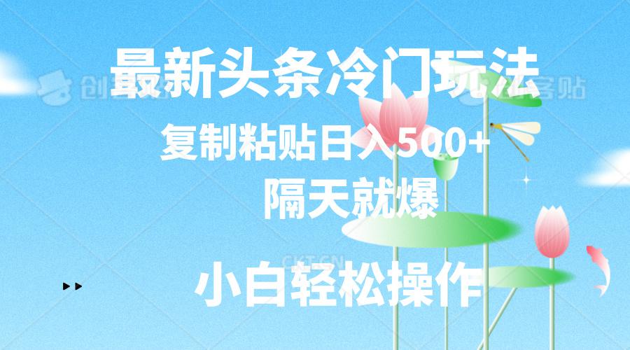 最新头条冷门玩法，隔天就爆，复制粘贴日入500+-搞钱日记