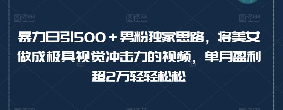 暴力日引500＋男粉独家思路，将美女做成极具视觉冲击力的视频，单月盈利超2万轻轻松松-搞钱日记