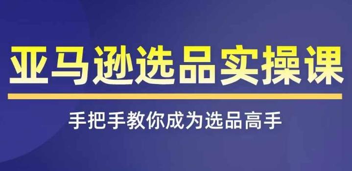 亚马逊选品实操课程，快速掌握亚马逊选品的技巧，覆盖亚马逊选品所有渠道-搞钱日记
