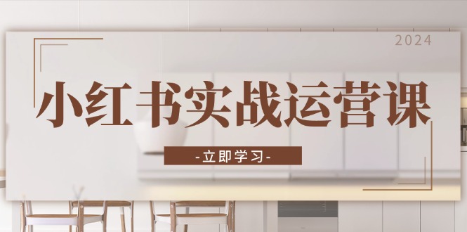 小红书实战运营课：从开通店铺到直播话术，打造爆款笔记与高效直播-搞钱日记