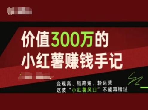 价值300万的小红书赚钱手记，变现高、链路短、轻运营，这波“小红薯风口”不能再错过-搞钱日记