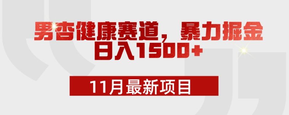 11月最新项目，男杏健康赛道，暴力掘金，日入1500+-搞钱日记