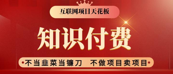 2024互联网项目天花板，新手小白也可以通过知识付费月入10W，实现财富自由【揭秘】-搞钱日记