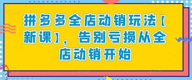 拼多多全店动销玩法【新课】，告别亏损从全店动销开始-搞钱日记
