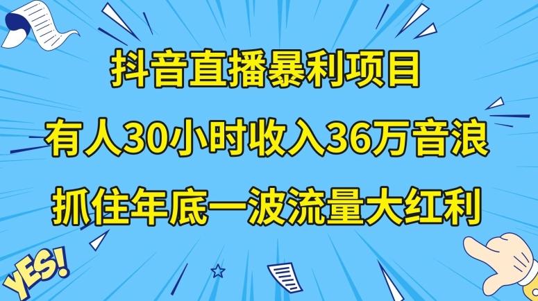 抖音直播暴利项目，有人30小时收入36万音浪，公司宣传片年会视频制作，抓住年底一波流量大红利【揭秘】-搞钱日记