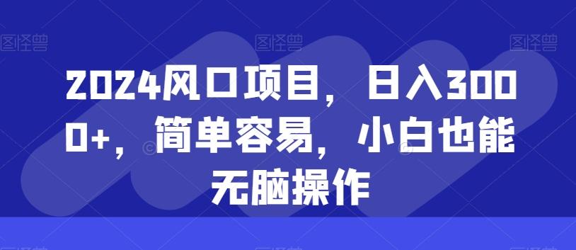 2024风口项目，日入3000+，简单容易，小白也能无脑操作-搞钱日记