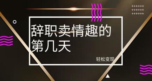 冷门赛道，辞职卖情趣的第几天，超暴力项目-搞钱日记
