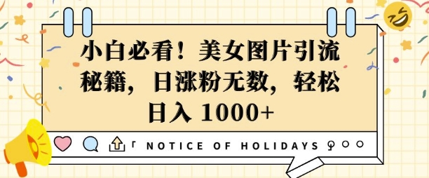 小白必看，美女图片引流秘籍，日涨粉无数，轻松日入几张【揭秘】-搞钱日记