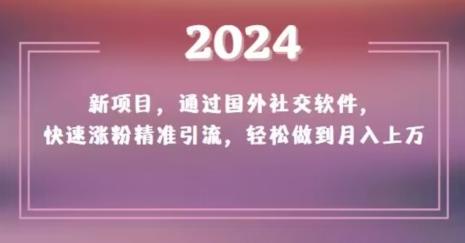 2024新项目，通过国外社交软件，快速涨粉精准引流，轻松做到月入上万【揭秘】-搞钱日记