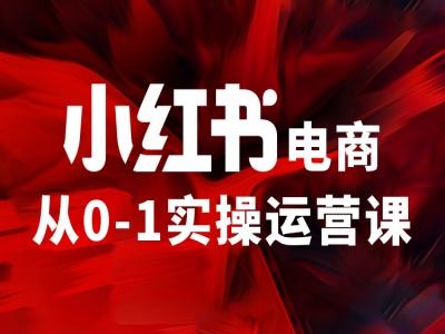 小红书电商从0-1实操运营课，让你从小白到精英-搞钱日记