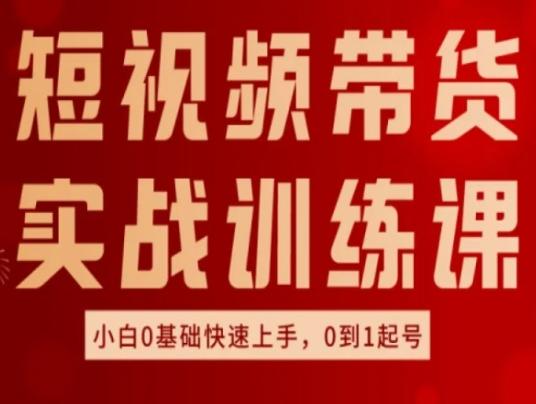 短视频带货实战训练课，好物分享实操，小白0基础快速上手，0到1起号-搞钱日记