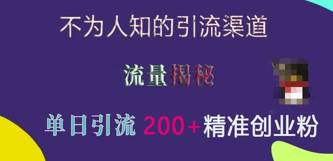 不为人知的引流渠道，流量揭秘，实测单日引流200+精准创业粉【揭秘】-搞钱日记