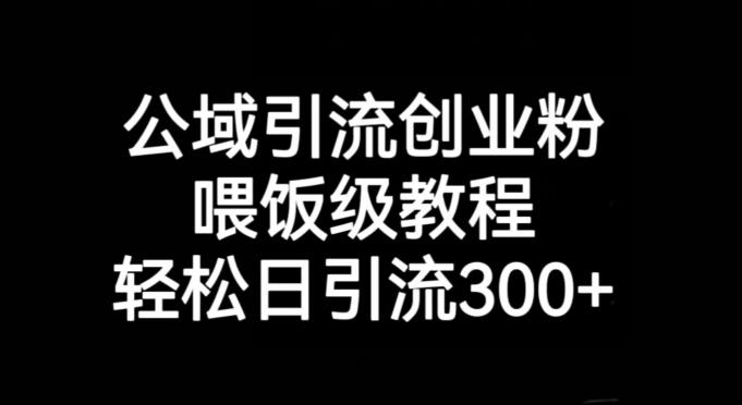 公域引流创业粉，喂饭级教程，轻松日引流300+【揭秘】-搞钱日记