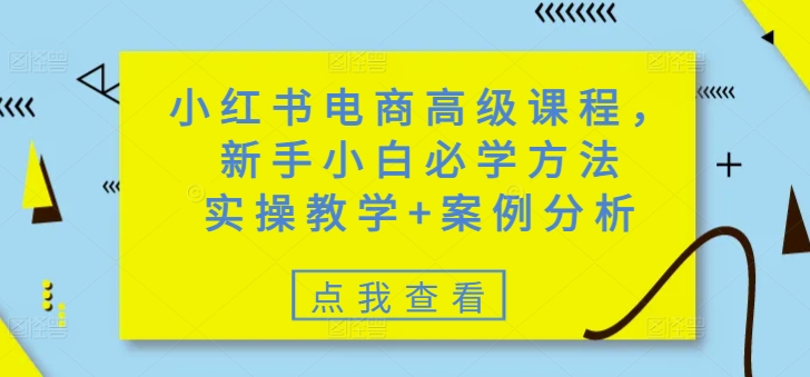 小红书电商高级课程，新手小白必学方法，实操教学+案例分析-搞钱日记