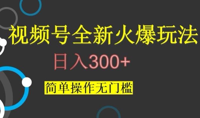 视频号最新爆火玩法，日入300+，简单操作无门槛【揭秘】-搞钱日记