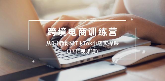 跨境电商训练营：从0-1教你做TikTok小店实操课(17节视频课-搞钱日记