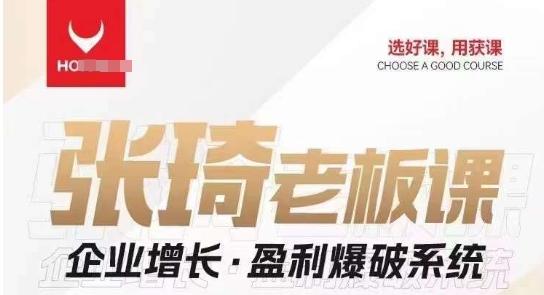 【组合课】张琦张琦老板企业增长·盈利爆破系统（直播专享）-搞钱日记