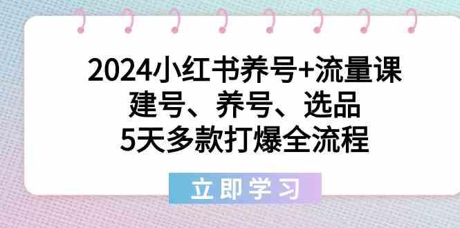2024小红书养号+流量课：建号、养号、选品，5天多款打爆全流程-搞钱日记