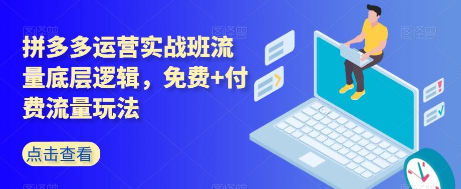 拼多多运营实战班流量底层逻辑，免费+付费流量玩法-搞钱日记