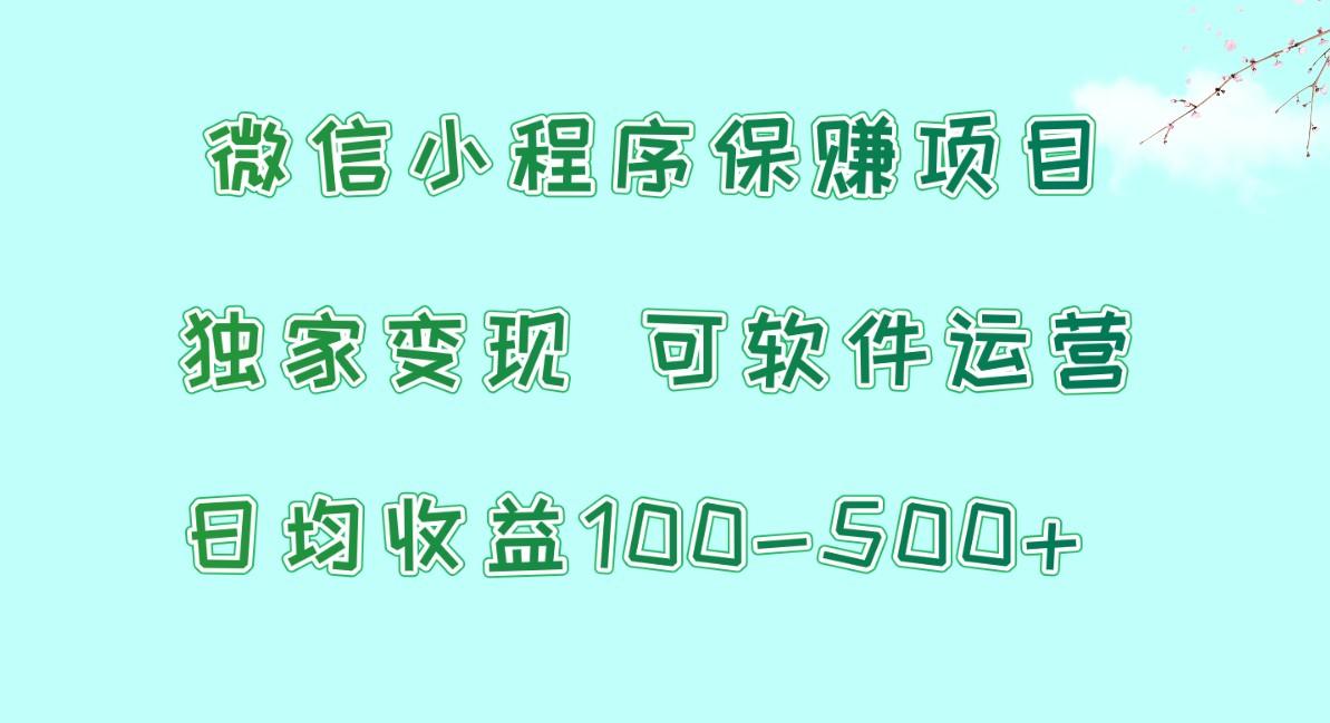 微信小程序保赚项目，日均收益100~500+，独家变现，可软件运营-搞钱日记