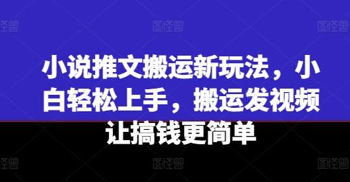 小说推文搬运新玩法，小白轻松上手，搬运发视频让搞钱更简单-搞钱日记