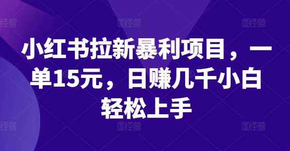 小红书拉新暴利项目，一单15元，日赚几千小白轻松上手【揭秘】-搞钱日记