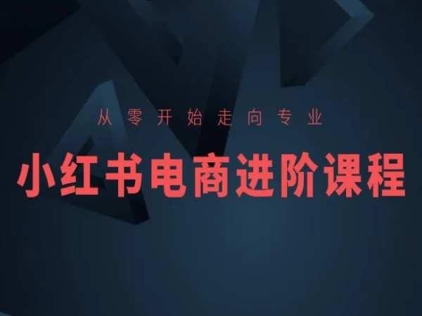 从零开始走向专业，小红书电商进阶课程-搞钱日记