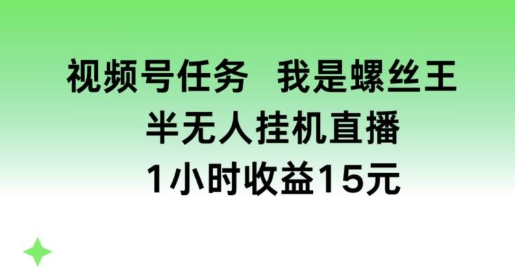 视频号任务，我是螺丝王， 半无人挂机1小时收益15元【揭秘】-搞钱日记