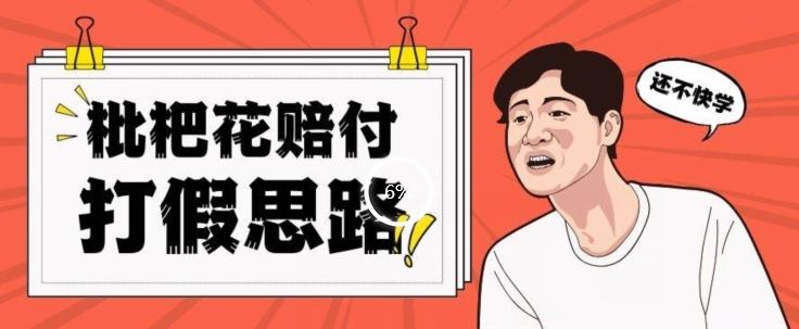 最新打假原料枇杷花赔付玩法一单收益1000+小白轻松下车【详细视频玩法教程】【仅揭秘】-搞钱日记