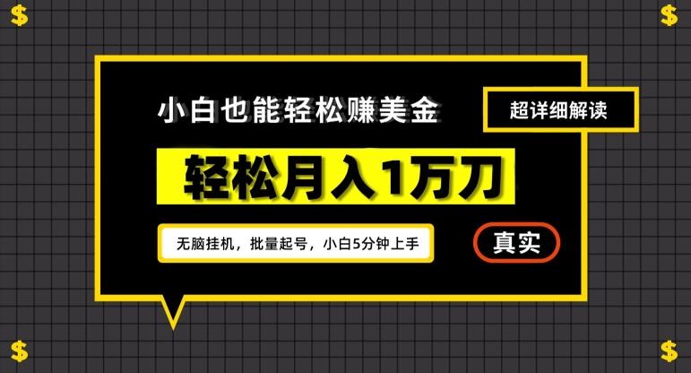 谷歌看广告撸美金2.0，无脑挂机，多号操作，月入1万刀【揭秘】-搞钱日记