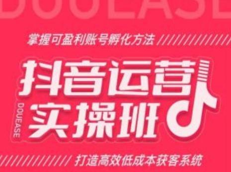 抖音运营实操班，掌握可盈利账号孵化方法，打造高效低成本获客系统-搞钱日记