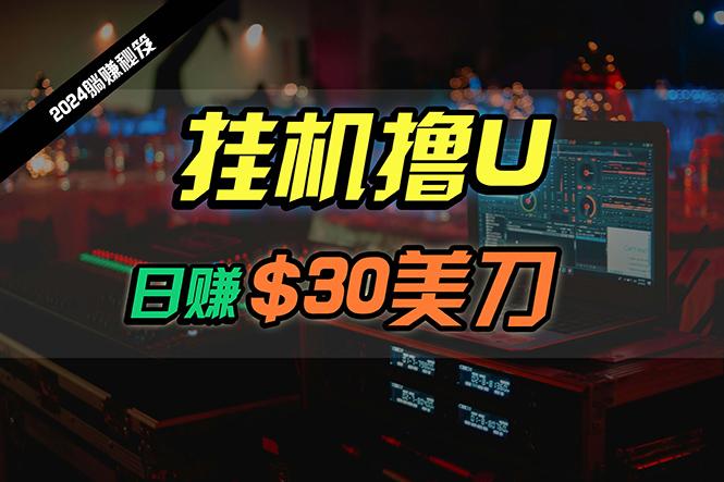 (10013期)日赚30美刀，2024最新海外挂机撸U内部项目，全程无人值守，可批量放大-搞钱日记